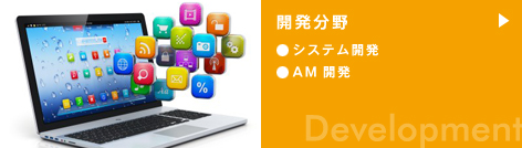 開発分野