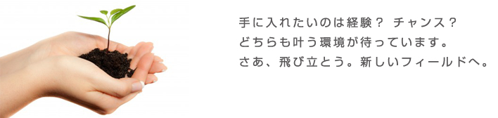 手に入れたいのは経験？ チャンス？ どちらも叶う環境が待っています。 さあ、飛び立とう。新しいフィールドへ。